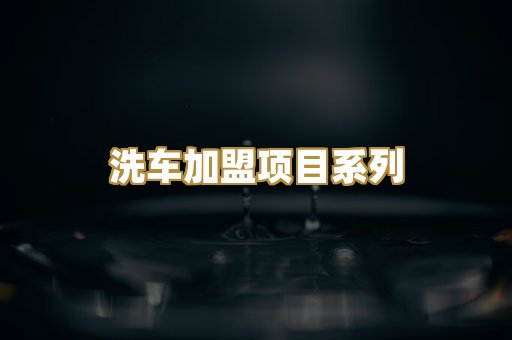 洗车加盟项目系列